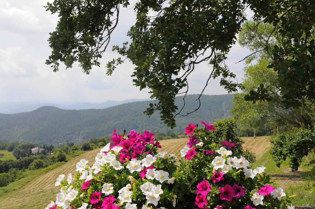 Locanda Del Viandante B&B Anghiari Exteriér fotografie
